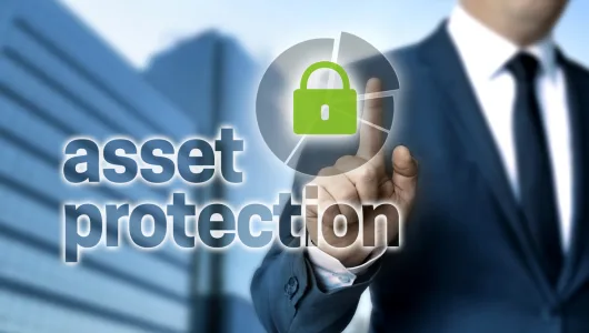 ASSET PROTECTION