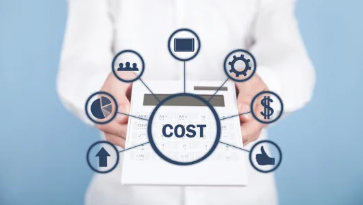 COST OPTIMIZATION