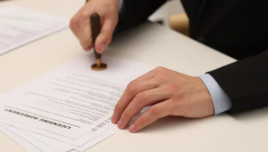 LICENSING REVENUE
