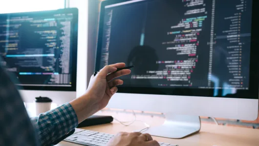 SOFTWARE AND DIGITAL WORKS