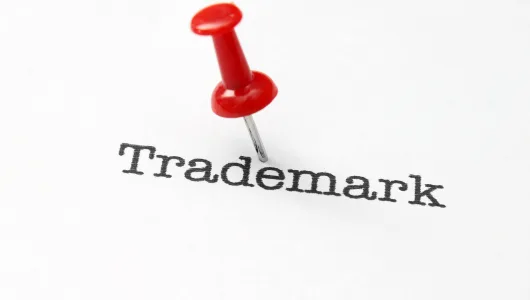 TRADEMARK ENFORCEMENT AND PROTECTION