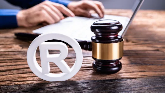 TRADEMARK SEARCH AND CLEARANCE