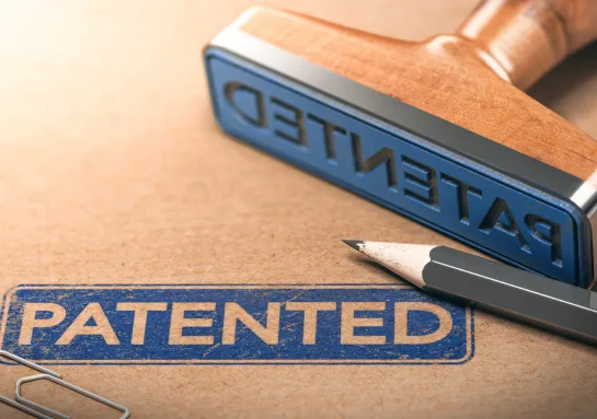 Patent Filing And Prosecution 12 WHAT CAN BE PATENTED