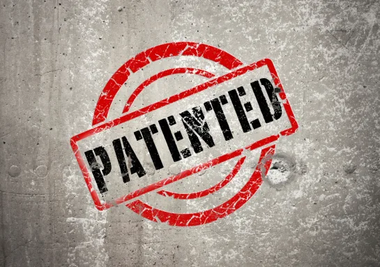 Patent Filing And Prosecution 13 WHAT CANNOT BE PATENTED IN INDIA